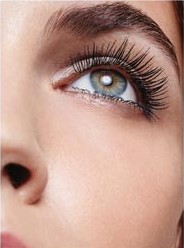 Avon True Color Eye&nbsp;Guide